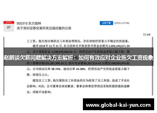 赵鹏谈欠薪问题解决方案解析：如何有效应对企业拖欠工资现象