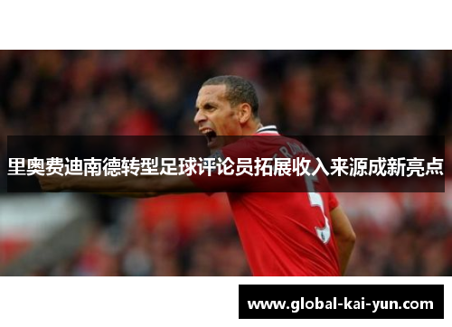 里奥费迪南德转型足球评论员拓展收入来源成新亮点