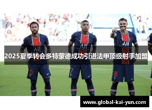 2025夏季转会多特蒙德成功引进法甲顶级射手加盟