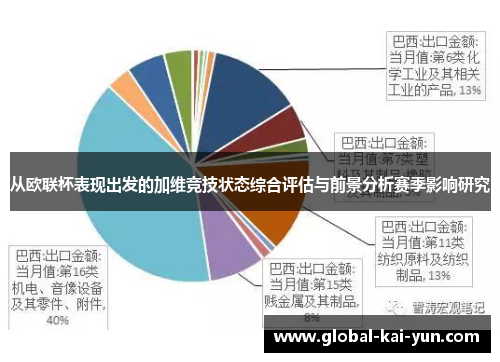 从欧联杯表现出发的加维竞技状态综合评估与前景分析赛季影响研究 从欧联杯表现出发的加维竞技状态综合评估与前景分析赛季影响研究