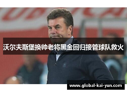 沃尔夫斯堡换帅老将黑金回归接管球队救火