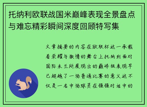 托纳利欧联战国米巅峰表现全景盘点与难忘精彩瞬间深度回顾特写集